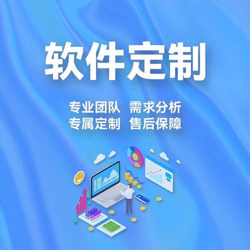 定制软件系统：助力企业发展进入快车道